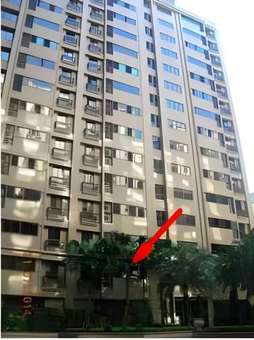 新北樹林大樓法拍-1