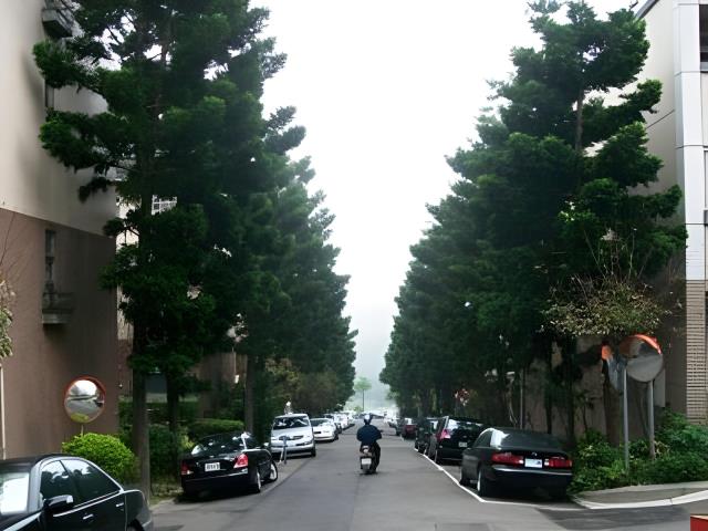 桃園透天法拍-5